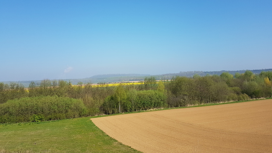 Marienfeld im Rhein-Erft-Kreis