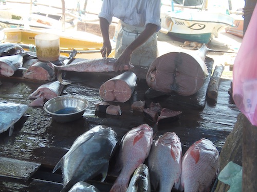 Angebot verschiedener Fische auf dem Fischmarkt