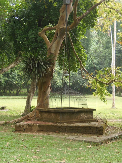 ein Baum mit einem Gong davor