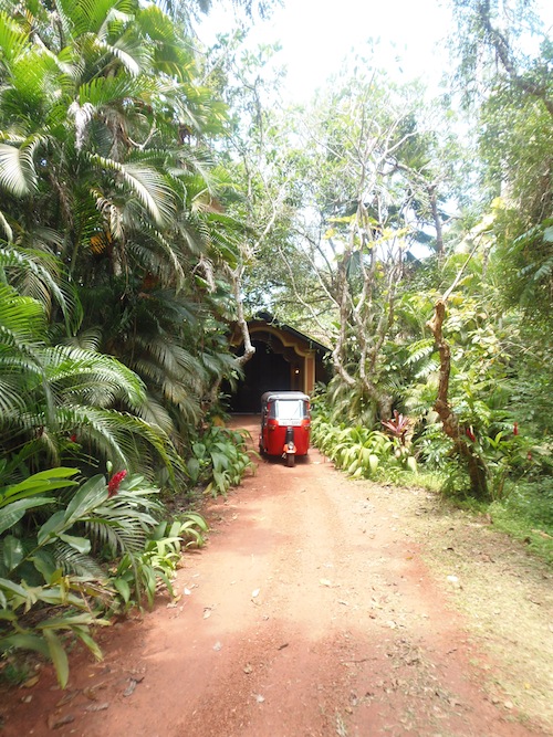 rotes Tuk Tuk auf einer schmalen Straße im Urwald