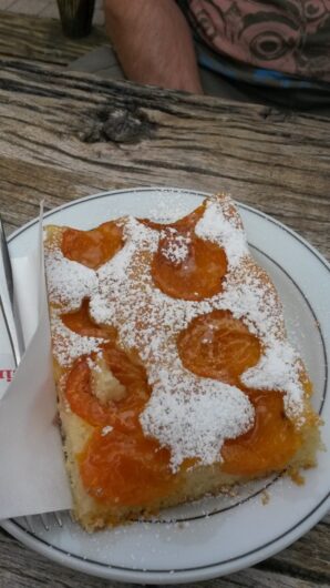 ein Stück Aprikosenkuchen beim Brunjaunhof