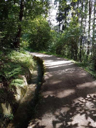 Der Schennwer Waal führt durch Mischwald.