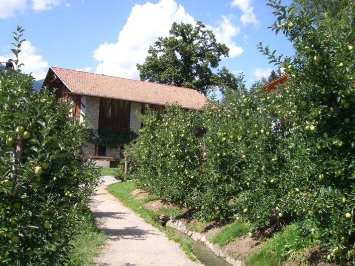 Der Schenner Waal am Brunjaunhof mitten zwischen Apfelplantagen.