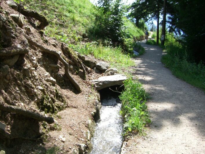 Der Schenner Waalweg am Übergang zwischen Mischenwald und Apfelplantagen