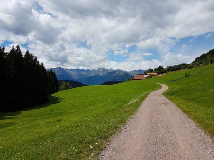 auf dem Almenweg oberhalb von Hafling