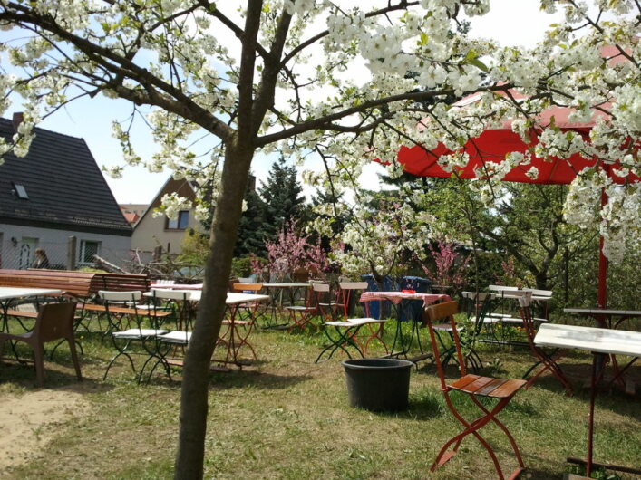 Garten mit blühenden Obstbäumen beim Baumblütenfest in Werder