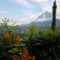 Blick zwischen Blumen und Grün hindurch auf Dorf Tirol und den Hochmuth