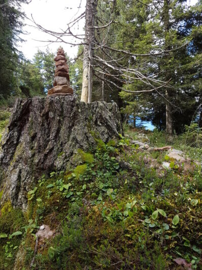 Baumstumpf mit Steinpyramide oben drauf am Wanderweg