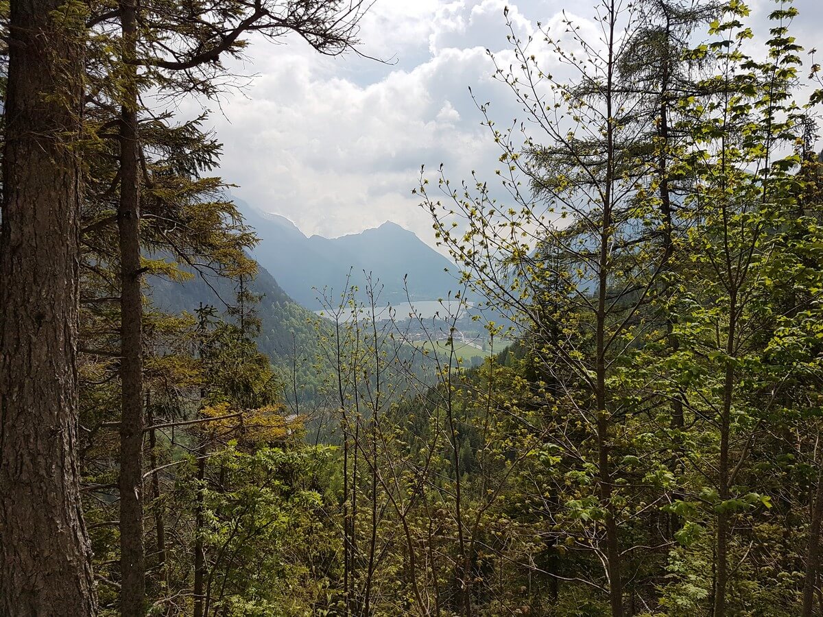 Blick durch die Bäume hindurch auf Pertisau und den Achensee