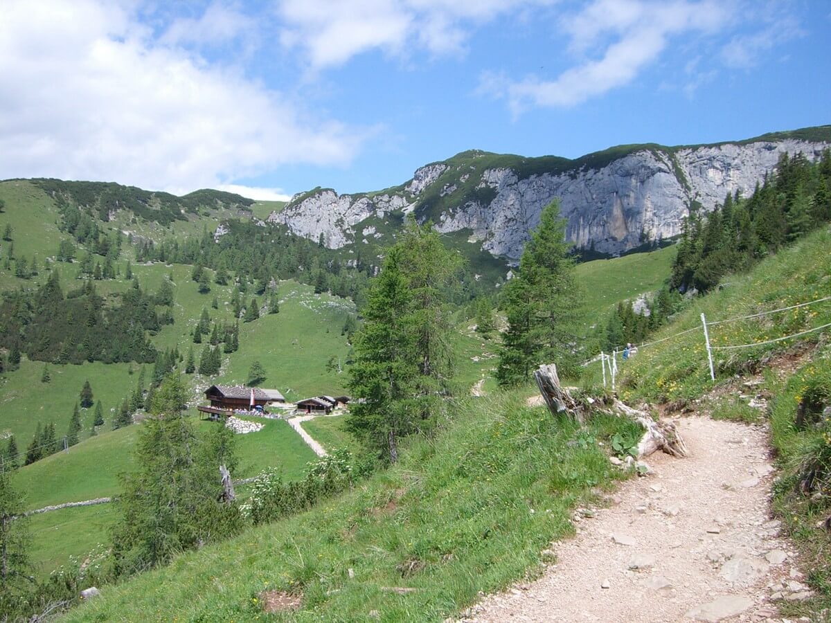 letztes Stück Weg zur Dalfaz Alm