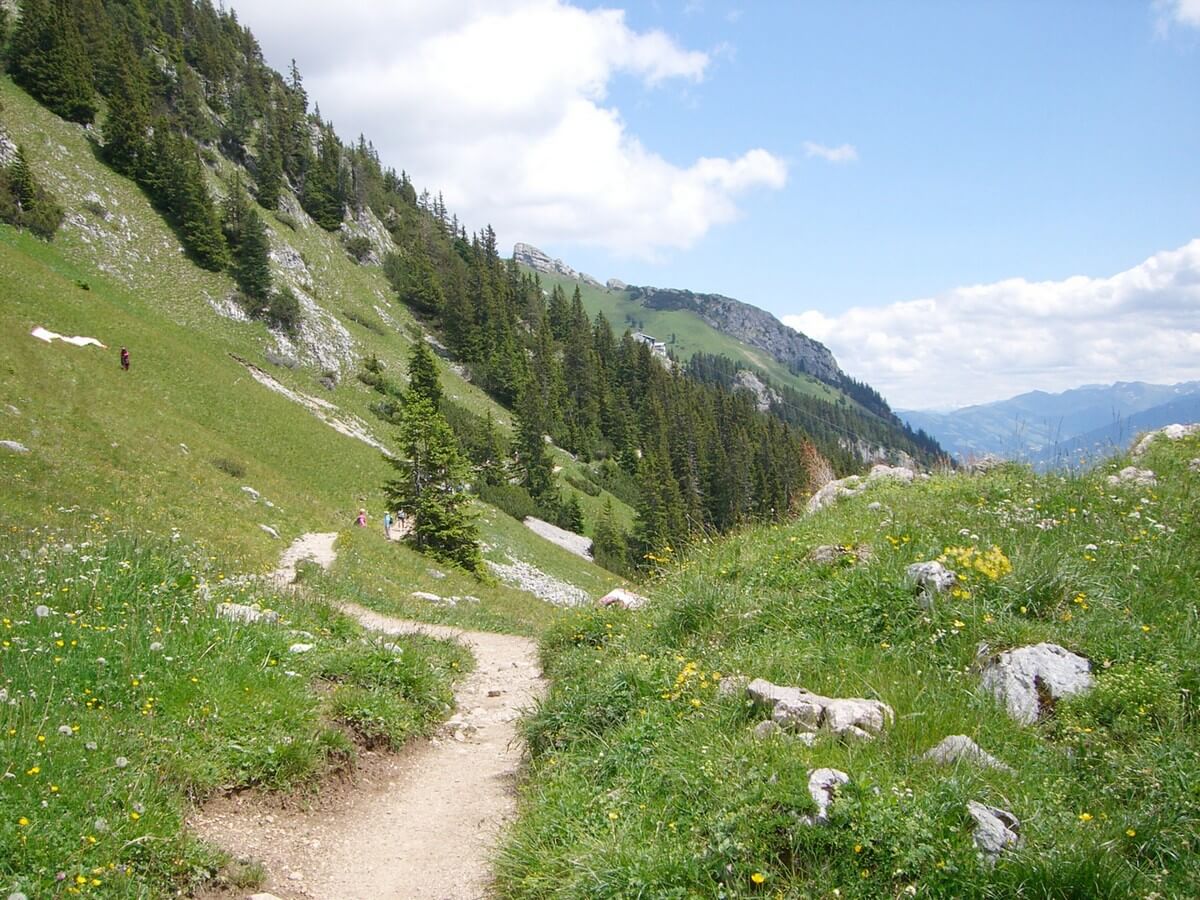 weg am Berghang von der Dalfaz Alm zurück zur Rofan-Seilbahn