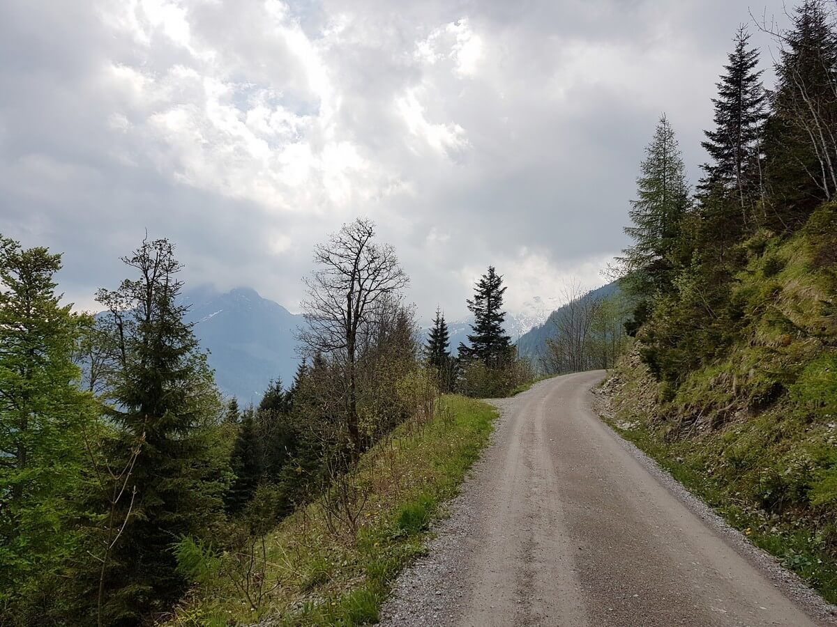 breiter Forstweg hinauf zur Feilalm