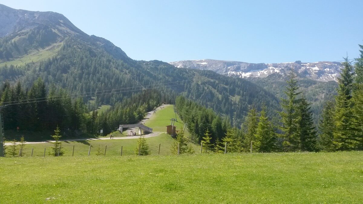 Blick im Sommer über die Skipiste am Zwölferkopf in Pertisau