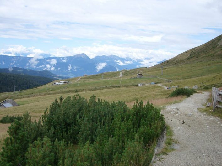 Blick zurück vom Wanderweg 3 und hinunter auf die Waidmannalm und die Ortlergruppe in weiter Ferne