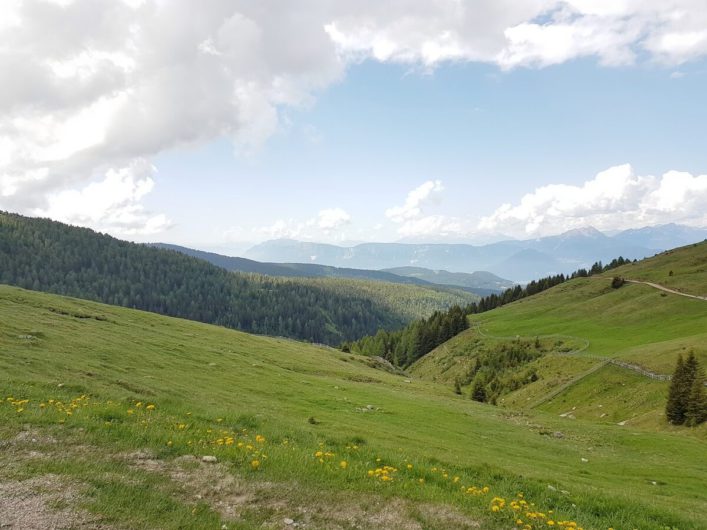 Blick über die Wiesen und Wälder auf Meran 2000 und die Ortlergruppe in der Ferne