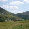 grasende Haflinger auf Meran 2000 und Blick auf die Meraner Hütte