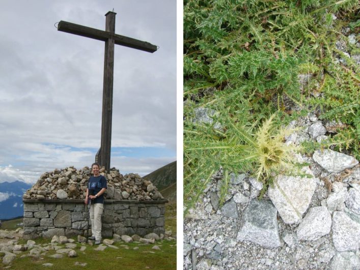 Martina am Kreuz des Missensteinerjochs und Edelweiß