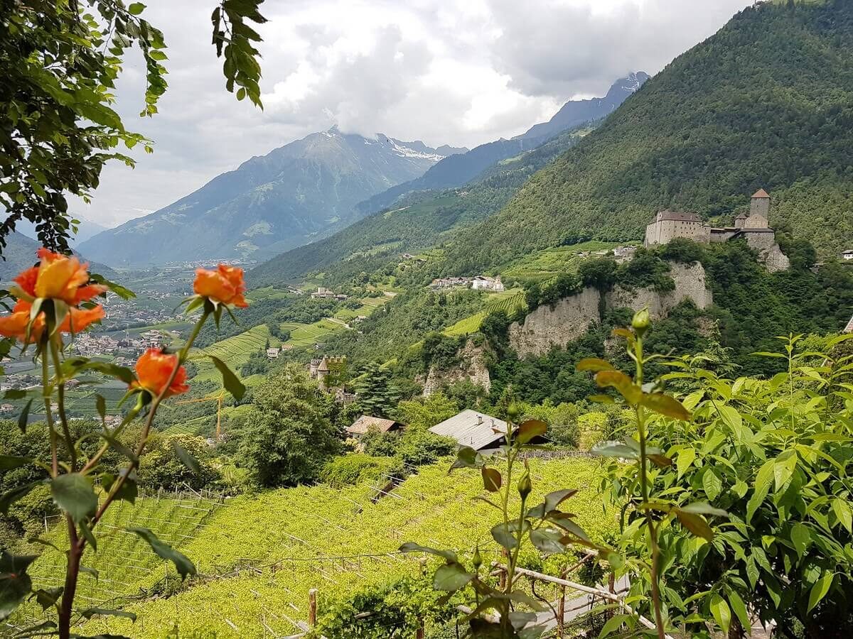 Blick aus dem Dorf Tiroler Biergarten Richtung Schloss Tirol