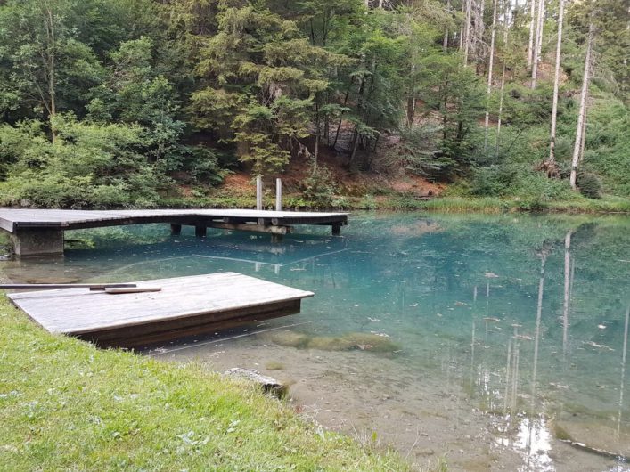 Naturbadeteich des Biohotel daberer in Kärnten