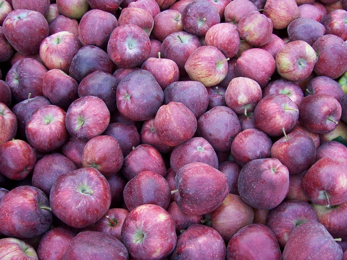 5 Dinge, die ich am Meraner Land so liebe