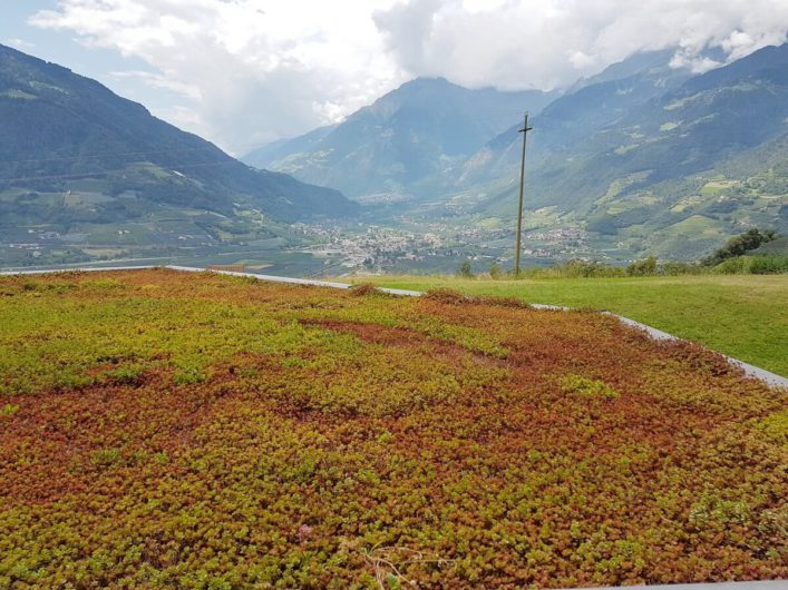 Ausblick aus der Juniorsuite im Hotel Sonnbichl in Dorf Tirol