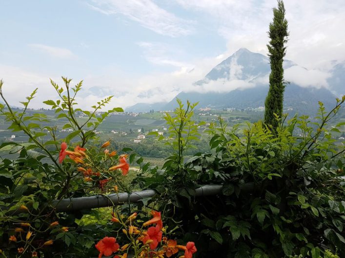 Blick Richtung Dorf Tirol