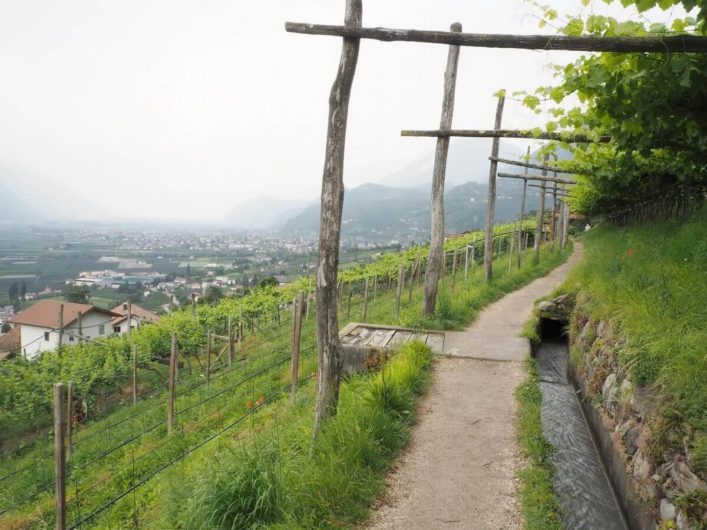 Waal am Marlinger Waalweg fließt zwischen Weinreben hindurch