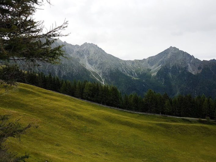 Blick Richtung Ifinger kurz vor der Stafellhütte