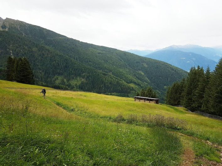 Wanderung durch die Wiesen von der Assen Hütte nach Videgg