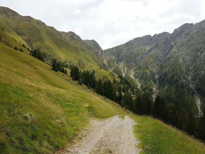 Wanderweg von den Videgger Assen Richtung Videgg