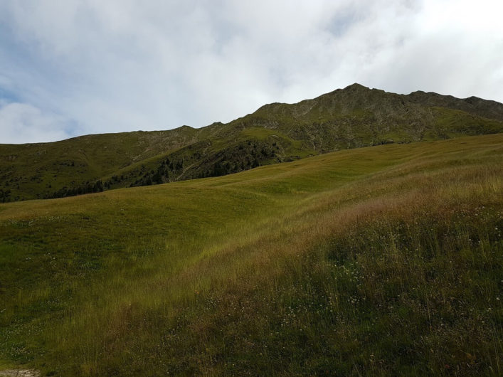 Blick über die Videgger Assen rund um die Assenhütte