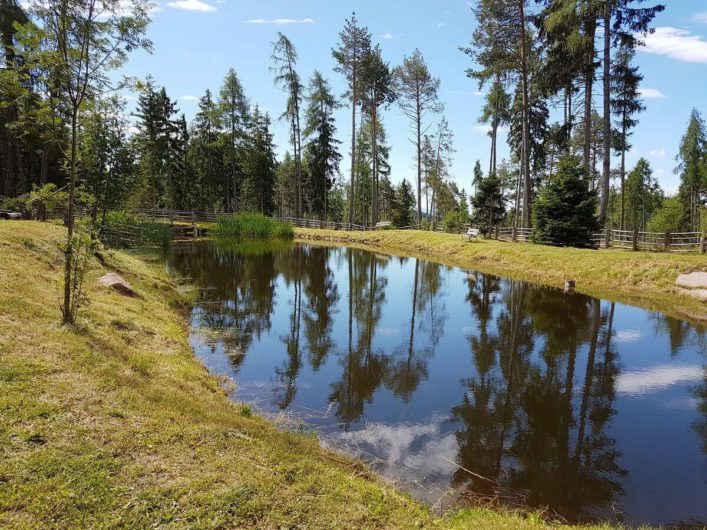 kleiner See auf dem Weg zur Wurzer Alm