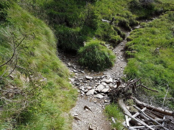 schmaler Wanderweg in Richtung Assen oberhalb der Stafellhütte