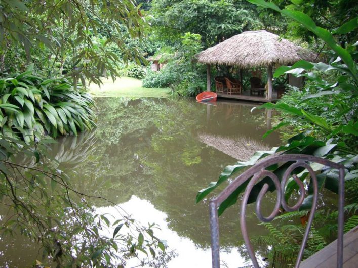 Teich der Lodge in Costa Rica