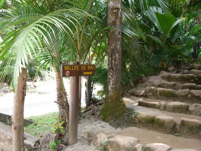 Vallée de Mai auf Praslin