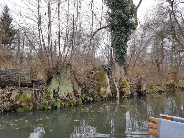 Blick in die winterliche Natur bei der Winterkahnfahrt durch den Spreewald