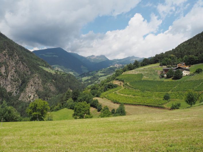 Ausblick Richtung Verdings vom Keschtnweg