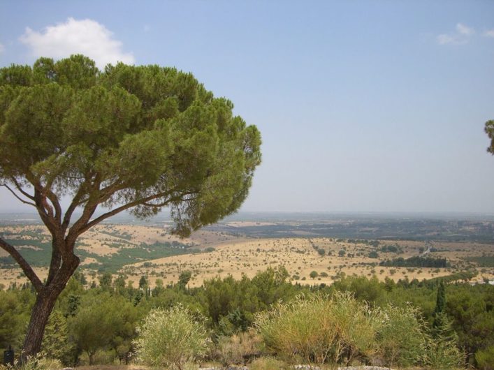 Blick auf die Ebene rund um Castel del Monte