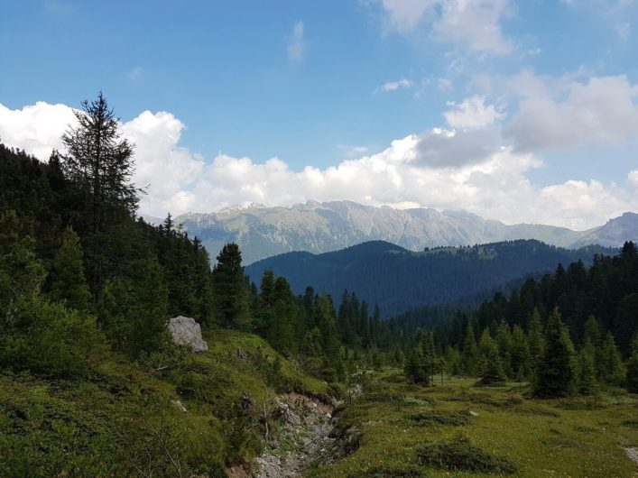 Ausblick vom Adolf-Munkel-Weg