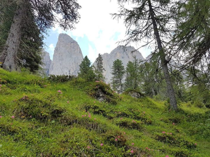 Blick in Richtung Geislerspitzen