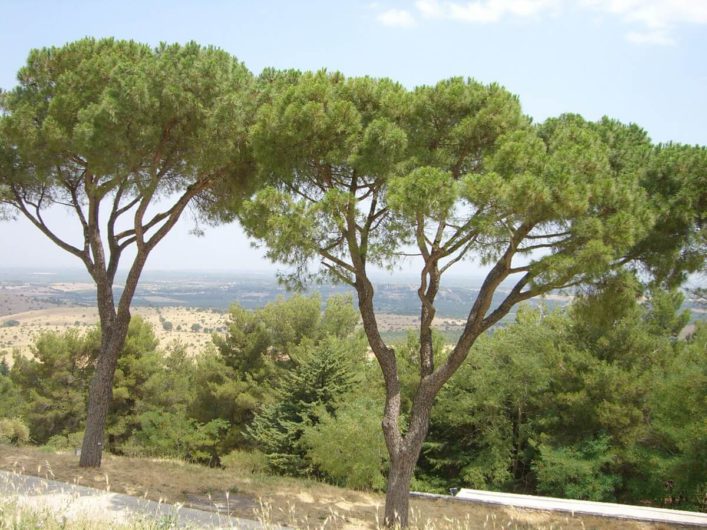 Blick auf die Umgebung von Castel del Monte