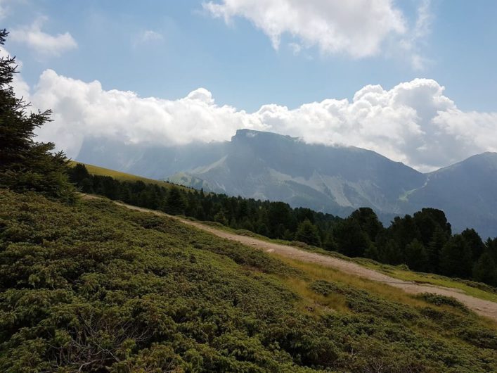 Panorama-Wanderweg am Hang entlang Richtung Brogleshütte