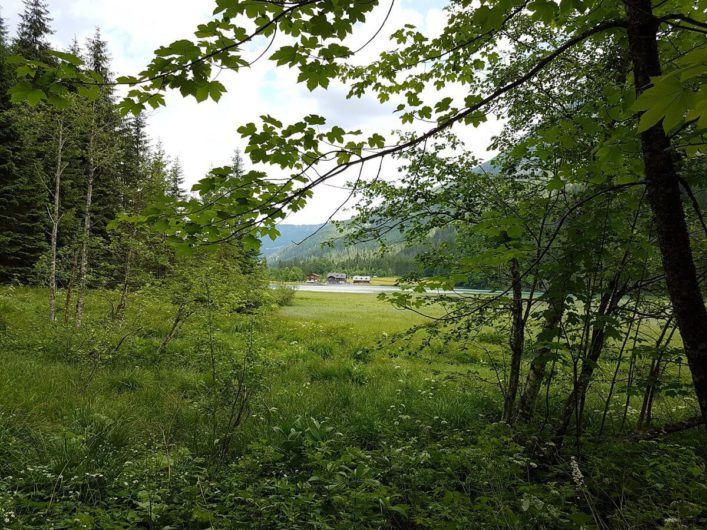 vom anderen Seeufer ist der Gasthof Jägersee zwischen den Bäumen zu sehen