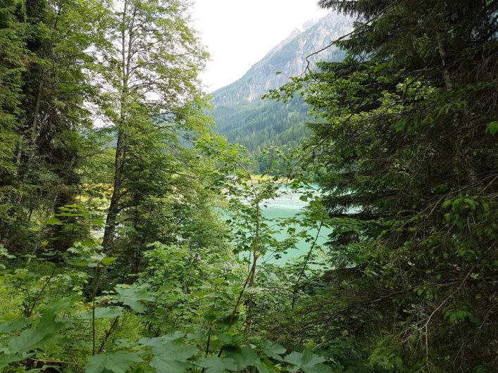 der Jägersee schimmert grünlich zwischen den Bäumen