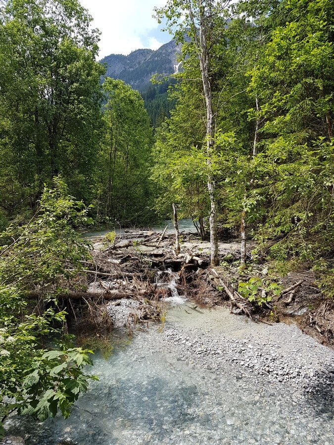 Wanderweg neben dem Kleinarlbach im Salzburger Land