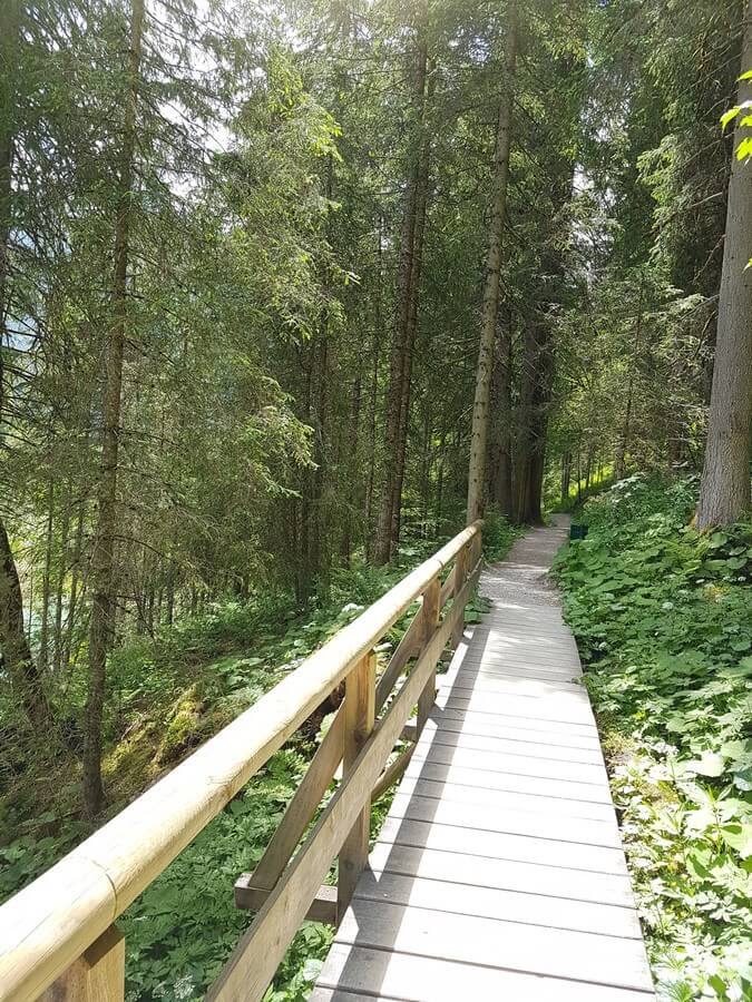 hölzerner Steg im Wald auf der Runde um den Jägersee im Salzburger Land