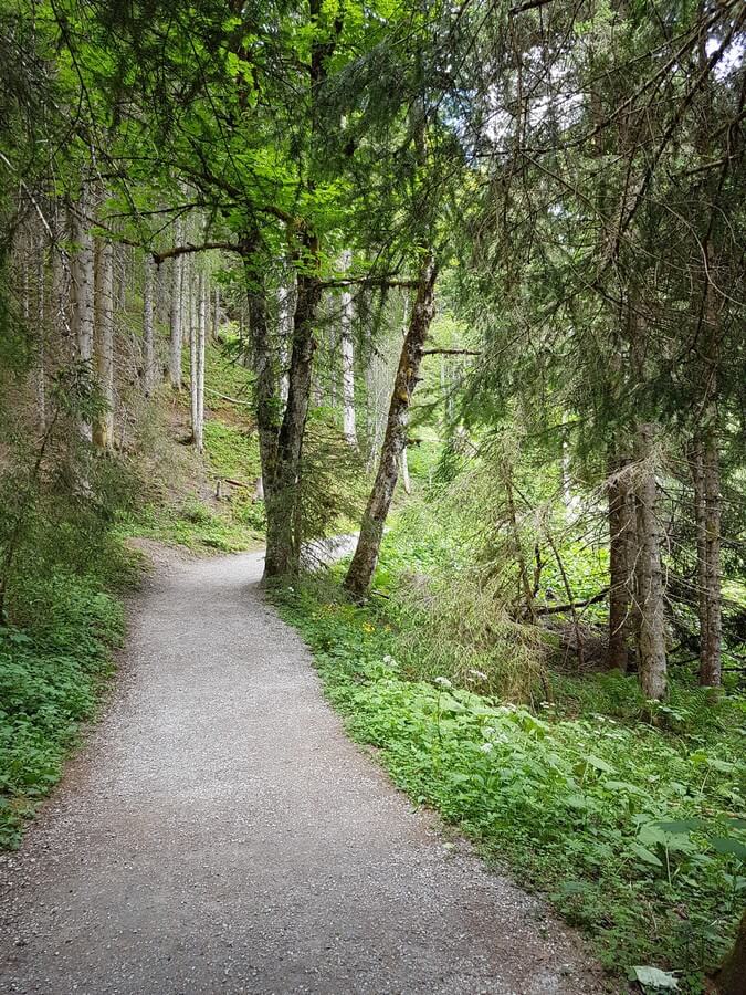 Waldweg auf der Runde um den Jägersee