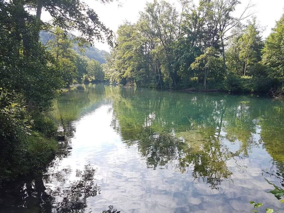 Bäume spiegeln sich im Fluss Altmühl