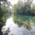 Bäume spiegeln sich im Fluss Altmühl