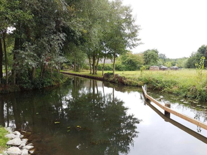 Fließ mit Spreewald mit sich spiegelnden Bäumen